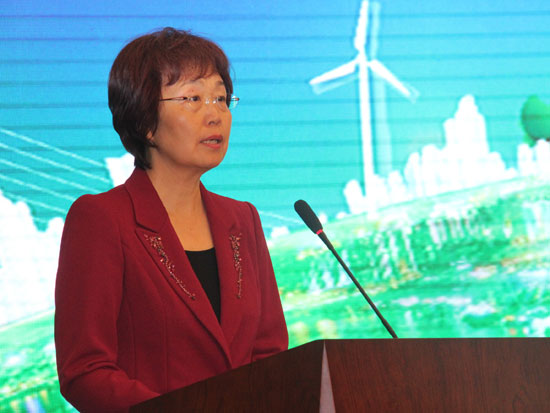 国家邮政局副局长王梅