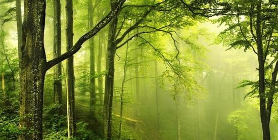 环保部门可以发行绿色国债