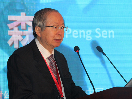 全国人大财经委员会副主任、中国经济体制改革研究会会长彭森