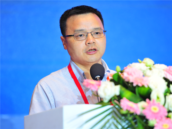 清华大学公共管理学院副院长杨永恒|财富管理论坛|实体经济|特色小镇_