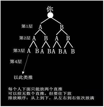 　　△马女士发给记者的&ldquo;网体&rdquo;架构图。