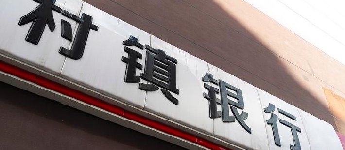 顾雷：当前村镇银行改革化险引发的新问题与解决新思路