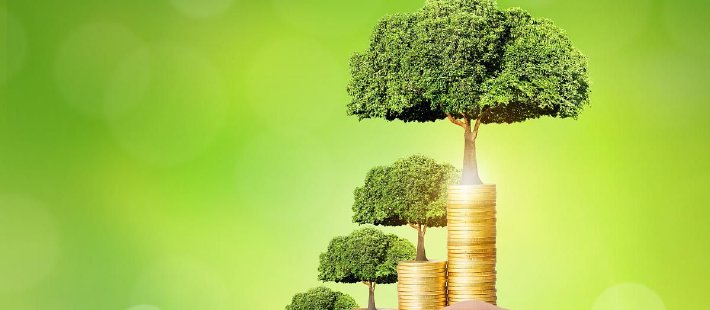 中国人民银行重庆市分行行长姚力：绿色金融支持“双碳”目标的重庆经验