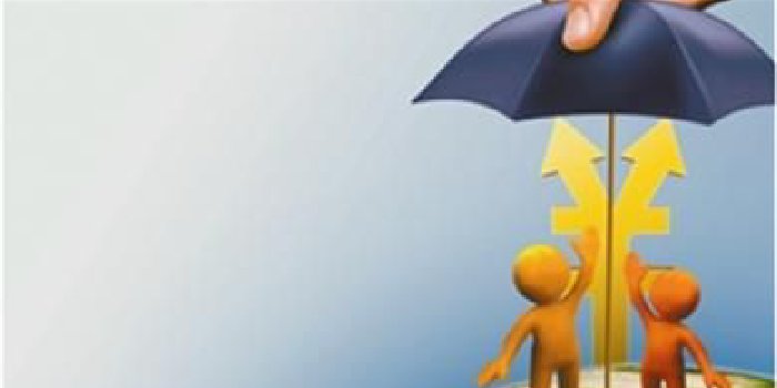 五天三地 多方聚力共谱中小投资者保护新篇