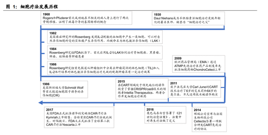 广发证券：细胞和基因治疗CDMO 下一个快速增长新赛道