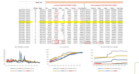【中粮纪要】玉米：城头月落霜如雪