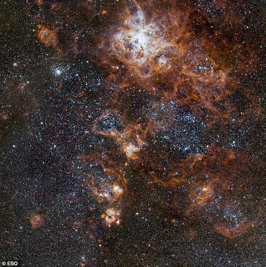 欧洲南方天文台VLT巡天望远镜成像狼蛛星云及其周围环境，呈现了星团、发光气体云和超新星爆炸的零散残骸。