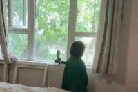 大反转?早教最悲情女创业者变脸:边卖惨边申请破产