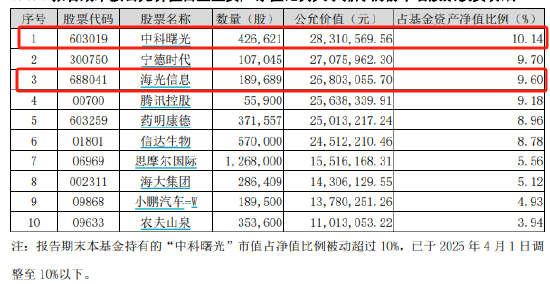 嘉实积极设立一年持有2025一季报披露十大重仓股