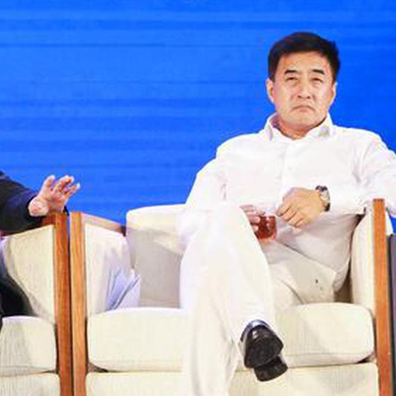 张红力:敬畏市场应是进一步扩大开放应遵循的