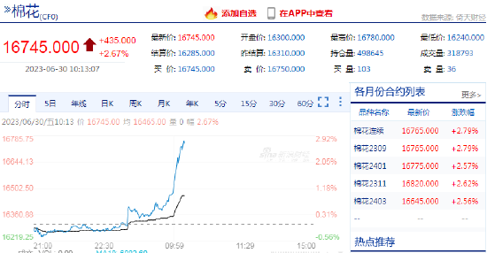 棉花涨超2.5%！机构：中长期偏强预期不变