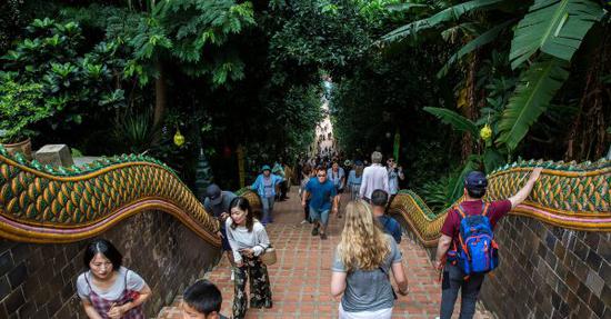 去年访泰外国游客数量达3827万 今年料达411