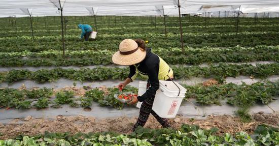 墨西哥拟将最低工资提高20% 是当前通胀率7倍