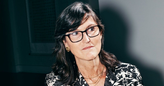 凯茜伍德的方舟投资公司上周连续五天出售特斯拉股票