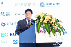  （中国金融学会副秘书长、中国-东盟金融合作学院院长 杨再平）