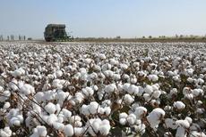 中消协回应HM事件：侵害消费者的合法权益