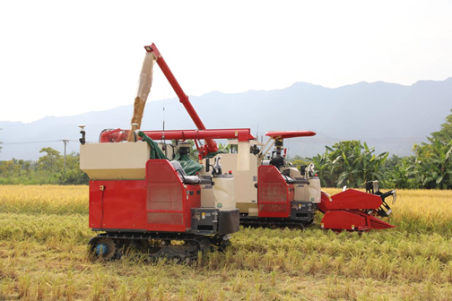 无人驾驶水稻收割机和无人驾驶运粮车协同作业