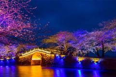 市人大代表建议上海要保留工业用地：不能都盖商务楼