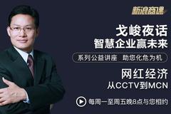戈峻夜话第18期|网红经济：从CCTV到MCN