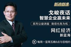 戈峻夜话第19期|网红经济新蓝海