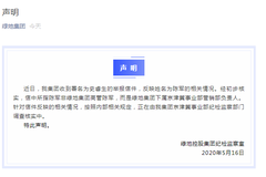 区域高管被举报与女员工发生不正当关系？绿地集团回应