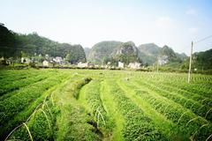 黔南州官方：独山县、三都县已于3月实现脱贫摘帽