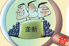 中共中央：畅通国内大循环 打破行业垄断和地方保护