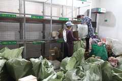 中国最西边小城的“双十一” 快递员1天处理1万件快递