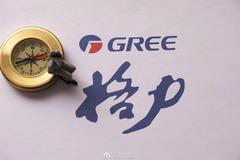 格力集团、华发集团参投贾跃亭旗下FF 投资低于20亿元