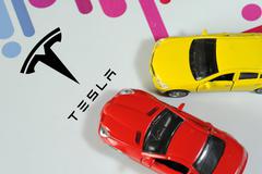 伟巴斯特发声明：与上海车展特斯拉维权车主无关联