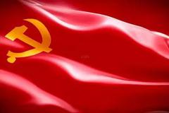 奋民族复兴的坚强核心——中国共产党成立100周年启示录之“领航篇”