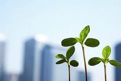 全国碳市场挂牌协议交易涨跌幅限制为10% 单笔申报上限小于10万吨二氧化碳当量