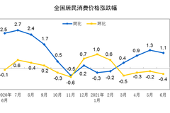 统计局解读：2021年6月份CPI和PPI同比涨幅均略有回落