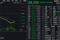 港股新东方暴跌50%，较开盘价腰斩，现报25.25港元