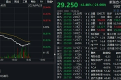 港股新东方暴跌50%，较开盘价腰斩，现报25.25港元