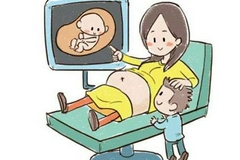 人口与计划生育法最新修改有哪些？