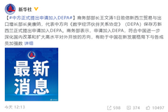 中方正式提出申请加入DEPA