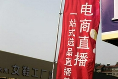 雪梨和林珊珊因偷逃税被罚 评论：直播间不是偷逃税避风港