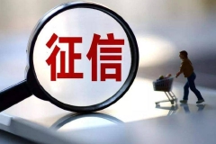 全国人大代表、人民银行广州分行行长白鹤祥：建议加快制定征信法