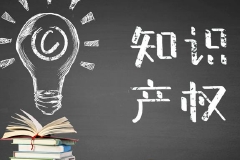 全国政协委员、苏宁环球集团董事长张桂平：进一步加强知识产权保护