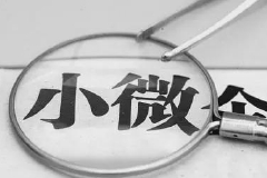 李克强：要在6月底以前，把小微企业的留抵税额一次性退到位