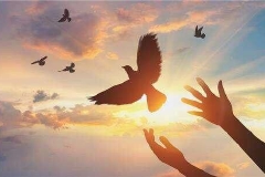 李克强谈乌克兰局势：中方愿意和国际社会一道为重返和平发挥积极的作用