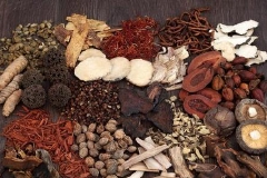 快讯：中药股继续走强 益盛药业、众生药业等涨停