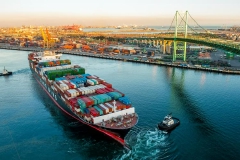 快讯：港口股再度活跃 北部湾港涨停