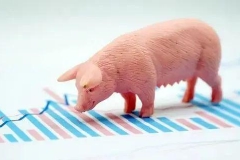 快讯：猪肉板块异动拉升 天邦股份涨超8%