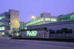 康奈集团董事长郑秀康：传子不传女