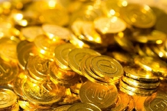 央行副行长陈雨露：我国金融体系始终保持着总体稳健