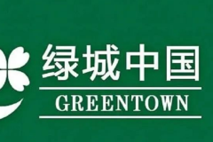 绿城中国前5月总合同销售金额约788亿元，同比下滑39.06%