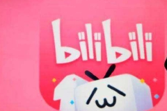 财报| B站一季度营收50.54亿元，净亏损16.55亿元，CEO陈睿花了300万美元回购股票
