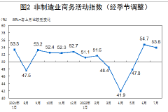 统计局：7月份非制造业PMI为53.8%，比上月下降0.9个百分点